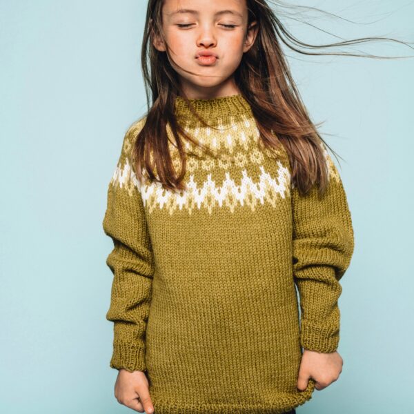 T3-26 Norðrið barnapeysa